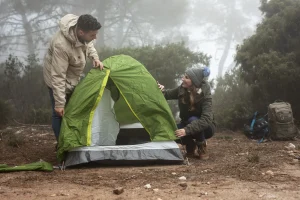 Beneath the Canopy Discovering Nature’s Hidden Secrets