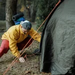 Silent Wonders The Magic of Nature’s Unseen Corners